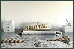 Hallandale Beach Restoration Expert Hallandale Beach, FL 954-390-2414 Hallandale Beach Restoration Expert Hallandale Beach, FL 954-390-2414 - abt-wgr-flood