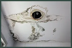 Hallandale Beach Restoration Expert Hallandale Beach, FL 954-390-2414 Hallandale Beach Restoration Expert Hallandale Beach, FL 954-390-2414 - abt-wgr-leaks